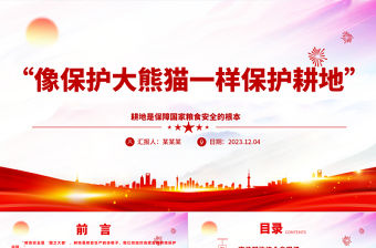 2023對(duì)待土地猶如對(duì)待國寶熊貓ppt大氣簡潔耕地是保障國家糧食安全的根本黨組織專題教育黨課課件