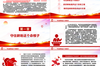 2023對待土地猶如對待國寶熊貓ppt大氣簡潔耕地是保障國家糧食安全的根本黨組織專題教育黨課課件