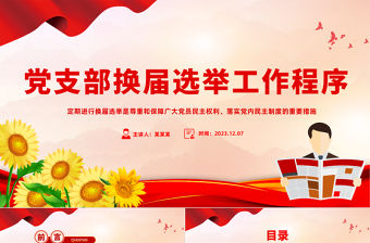 黨支部換屆選舉工作PPT紅色精美尊重和保障廣大黨員民主權利落實黨內民主制度的重要措施黨課