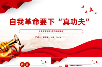 自我革命要下真功夫PPT紅色黨政風在改造主觀世界樹立問題意識付諸實際行動上下功夫黨課