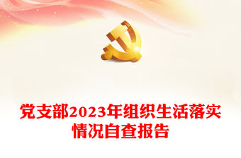 黨支部2023年組織生活落實情況自查報告PPT模板(講稿)