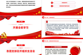 團(tuán)支部組織生活會(huì)PPT精美實(shí)用團(tuán)員和青年主題教育組織生活會(huì)流程模板