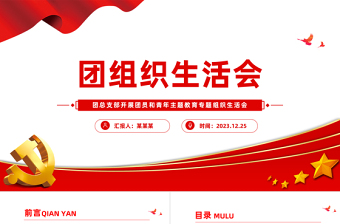 團(tuán)支部組織生活會(huì)PPT精美實(shí)用團(tuán)員和青年主題教育組織生活會(huì)流程模板