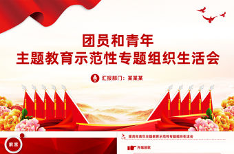 2023團(tuán)支部團(tuán)員和青年主題教育示范性專題組織生活會(huì)PPT模板