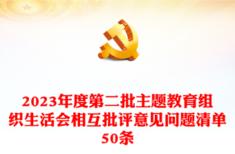 2023年度第二批主题教育组织生活会相互批评意见问题清单50条PPT模板(讲稿)