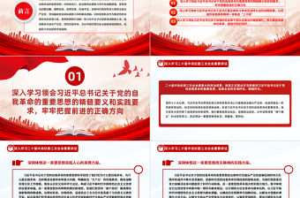 自覺用關于黨的自我革命的重要思想統領紀檢監察一切工作PPT黨建風深入學習二十屆中央紀委三次全會重要講話專題課件