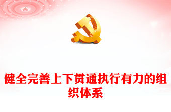 健全完善上下貫通執(zhí)行有力的組織體系PPT深入學(xué)習(xí)關(guān)于黨的建設(shè)的重要思想課件(講稿)