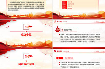 農(nóng)村集體經(jīng)濟三資管理情況自查和整改報告PPT模板