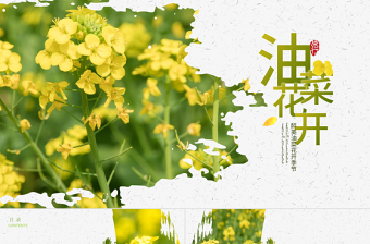 原創(chuàng)春天鄉(xiāng)村旅游油菜花風(fēng)景油菜花田PPT模板
