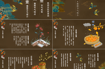 棕色中國(guó)風(fēng)霜降節(jié)氣PPT模板