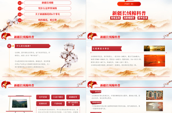 2021為新疆棉花點贊簡約實時熱點PPT