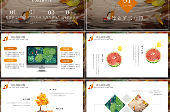 原創(chuàng)金秋豐收季節(jié)秋天秋季二十四節(jié)氣處暑PPT模板