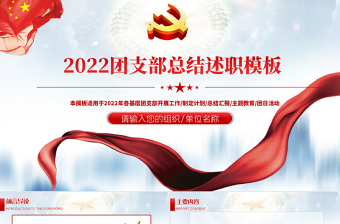 2022党支部过筛子经验总结ppt