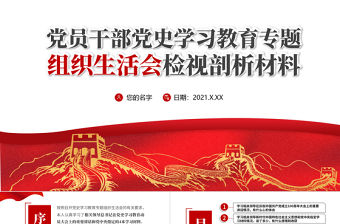 2021黨員干部黨史學習教育專題組織生活會檢視剖析材料PPT