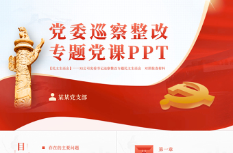 黨委巡查整改PPT黨建風(fēng)黨委書記組織落實(shí)巡察整改工作的情況報(bào)告專題黨課課件