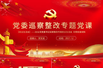 黨委巡視整改PPT紅色簡潔黨支部存在問題及整改措施民主生活會專題黨課課件