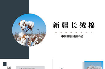 2021新疆長絨棉ppt簡潔雅致純凈新疆棉花農產品介紹課件下載