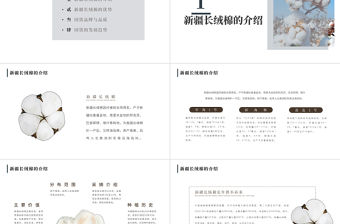 2021新疆長絨棉ppt簡潔雅致純凈新疆棉花農產品介紹課件下載