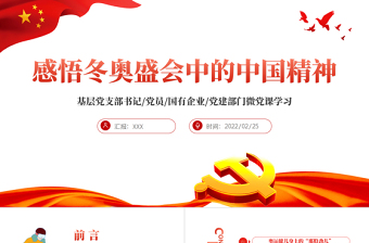 感悟冬奧盛會中的中國精神PPT紅色大氣風基層黨支部黨員黨建部門微黨課學習課件模板下載