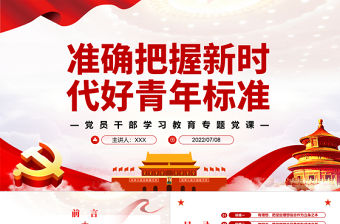 準確把握新時代好青年標準PPT黨政風黨員干部學習教育專題黨課