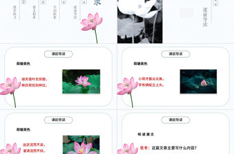 2022荷花PPT第3課小學(xué)三年級語文下冊部編人教版教學(xué)課件