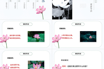 2022荷花PPT第3課小學三年級語文下冊部編人教版教學課件