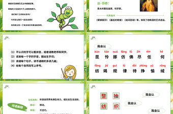 2022小毛蟲PPT課文第22課小學(xué)二年級(jí)語(yǔ)文下冊(cè)部編人教版教學(xué)課件