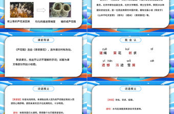 2022蘆花鞋PPT第21課小學(xué)四年級(jí)語文下冊部編人教版教學(xué)課件