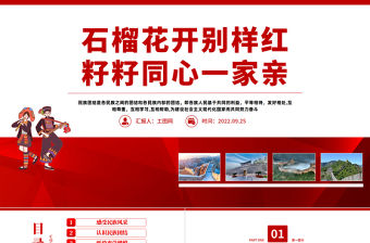 2022石榴花開別樣紅籽籽同心一家親PPT民族團結一家親主題班會課件模板