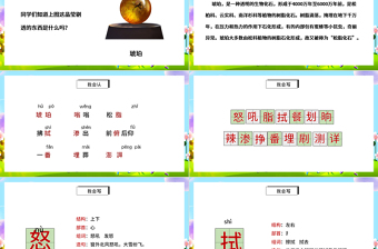 2022琥珀P(guān)PT第5課小學(xué)四年級語文下冊部編人教版教學(xué)課件