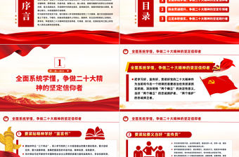 2022學(xué)懂弄通做實(shí)爭做二十大精神的堅(jiān)定信仰者引領(lǐng)者踐行者PPT紅色精美風(fēng)學(xué)習(xí)宣傳貫徹黨的二十大精神專題黨課課件模板