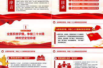 2022學懂弄通做實爭做二十大精神的堅定信仰者引領(lǐng)者踐行者PPT紅色精美風學習宣傳貫徹黨的二十大精神專題黨課課件模板