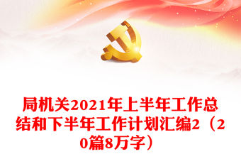 局機關2021年上半年工作總結和下半年工作計劃匯編2（20篇8萬字）