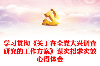 學習貫徹《關于在全黨大興調查研究的工作方案》謀實招求實效心得體會