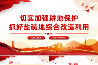 抓好鹽堿地綜合改造利用PPT大氣簡潔分區(qū)分類因地制宜綜合改造利用鹽堿地耕地保護(hù)課件