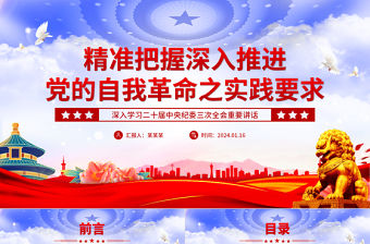 精準把握深入推進黨的自我革命之實踐要求PPT黨建風深入學習二十屆中央紀委三次全會重要講話專題課件