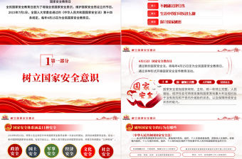 2023年全民國家安全教育日PPT精美莊嚴(yán)貫徹總體國家安全觀增強全民國家安全意識和素養(yǎng)學(xué)習(xí)課件