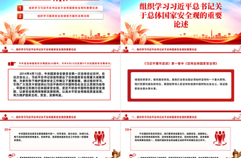 2024年4月主題黨日活動(dòng)PPT大氣簡(jiǎn)潔總體國(guó)家安全觀主題課件下載