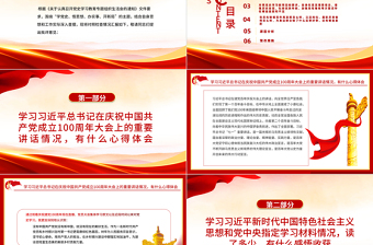 大氣黨政風駐村第一書記黨史學習教育專題組織生活會對照檢查材料專題黨課PPT課件
