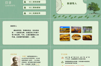 2022白樺PPT第11課小學四年級語文下冊部編人教版教學課件