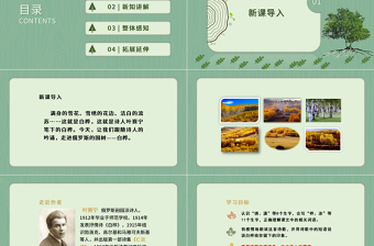 2022白樺PPT第11課小學(xué)四年級(jí)語(yǔ)文下冊(cè)部編人教版教學(xué)課件