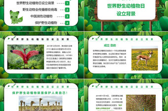 2022保護(hù)野生動植物PPT卡通簡約風(fēng)世界野生動植物日知識介紹課件模板