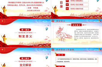 2021全面學(xué)習(xí)解讀《政府督查工作條例》PPT