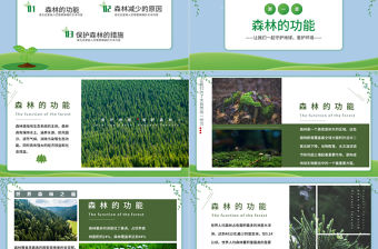 2023保護森林PPT簡約風愛護地球保護森林主題班會課件模板下載