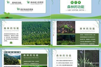 2023保護(hù)森林PPT簡(jiǎn)約風(fēng)愛(ài)護(hù)地球保護(hù)森林主題班會(huì)課件模板下載