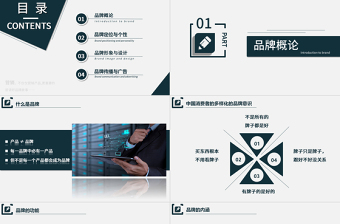 實(shí)用簡約企業(yè)培訓(xùn)之品牌營銷技巧培訓(xùn)PPT