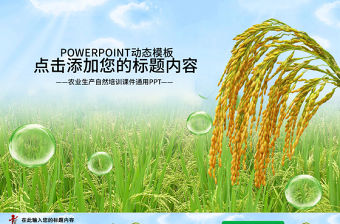 農業種子水稻豐收新農村春耕動態PPT