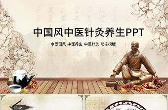 中國風中醫養生保健中草藥PPT模板