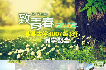 致青春畢業紀念電子相冊PPT模版