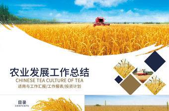 農產品農業發展工作總結PPT模板